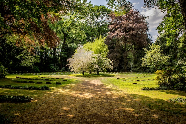 Gartendekoration selber machen: Kreative DIY-Ideen für den Garten